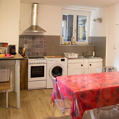Appartement Le Bain Aux Plantes ستراسبورغ المظهر الخارجي الصورة